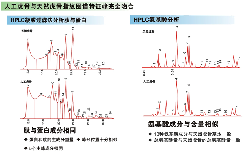 未标题-5 副本.JPG